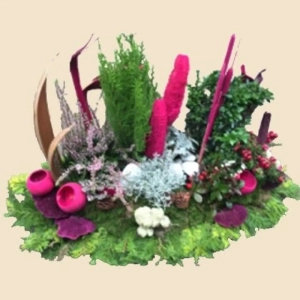 COUPE DE PLANTES ARRANGEMENT FORESTIER AVEC PLANTES