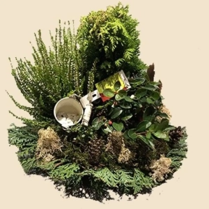 COUPES DE PLANTES FLEURIES ARRANGEMENT FORESTIER PLANTES NATURELLES