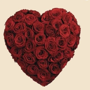 COEUR AMOUR ETERNEL