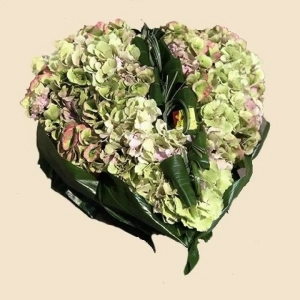 COEUR D'HORTENSIAS