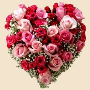 COEUR ROSE ET GYPSOPHILE