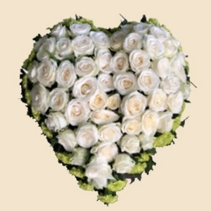 COEUR ROSES BLANCHES