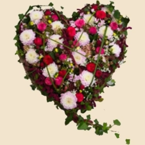 COEUR ROSES ET LIERRE