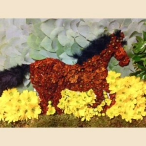 COMPOSITION PERSONNALISEE CHEVAL AU GALOP