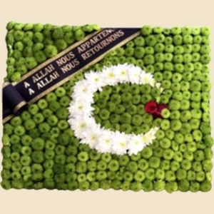 COMPOSITION PERSONNALISEE DRAPEAU ALGERIEN