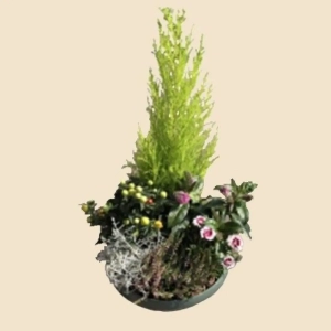 COUPE DE PLANTES VERTES ET FLEURIES A