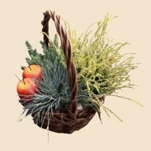 COUPE DE PLANTES PANIER