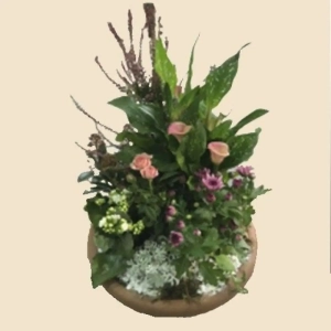 COUPE DE PLANTES FLEURIES A