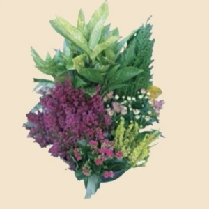 COUPE DE PLANTES FLEURIES B
