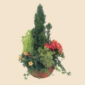 COUPE DE PLANTES FLEURIES D