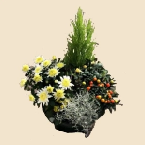 COUPE DE PLANTES VERTES ET FLEURIES B