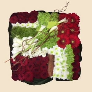 COUSSIN CARRE ROUGE ET BLANC