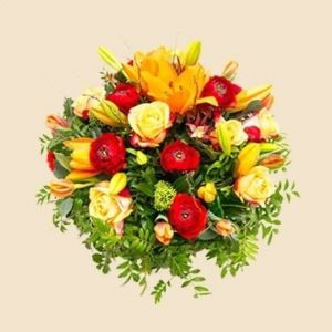 COUSSIN JAUNE ET ROUGE