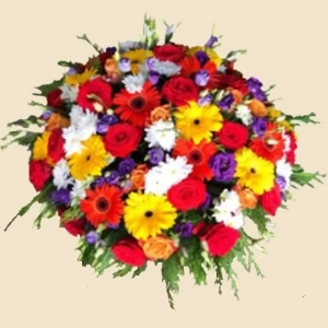 COUSSIN ROND COLORE