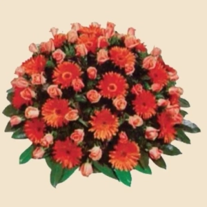 COUSSIN ROND ORANGEE