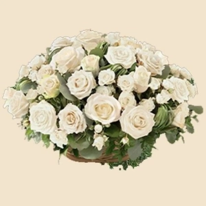 COUSSIN ROND PUR