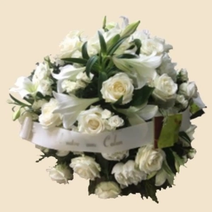 COUSSIN ROND VERT ET BLANC