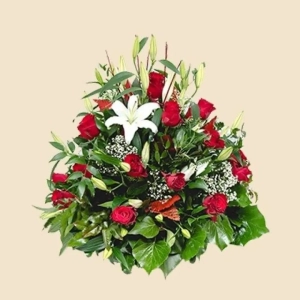 COUSSIN ROUGE ET BLANC