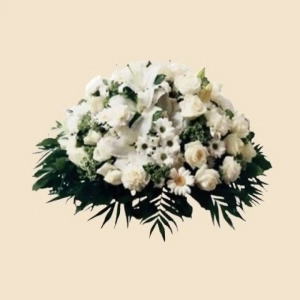 COUSSIN VERT ET BLANC