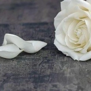 DERNIER GESTE ROSES INDIVIDUELLES
