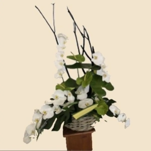 DEVANT DE TOMBE COMPOSITION ORCHIDEES