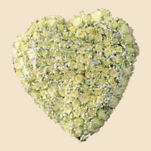 MINI COEUR