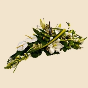RAQUETTE GRAPHIQUE VERTE ET BLANCHE